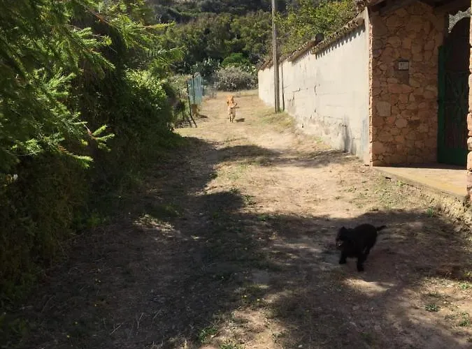 Дом отдыха La Casa Sotto La Torre Antica